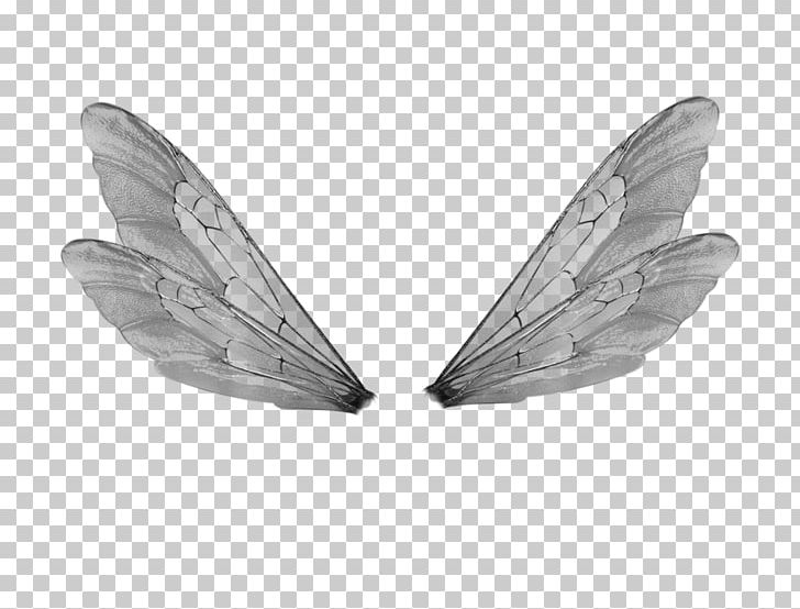 Buffalo Wing Fairy PNG, Clipart, Art, Black And White, Buffalo Wing, Butterfly, Deviantart Free PNG Download