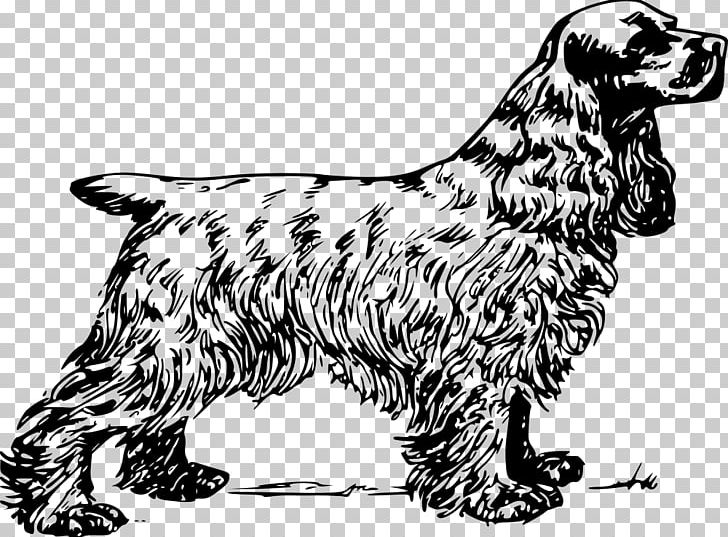 English Cocker Spaniel American Cocker Spaniel King Charles Spaniel PNG, Clipart, American Cocker Spaniel, Black And White, Carnivoran, Cocker Spaniel, Computer Icons Free PNG Download