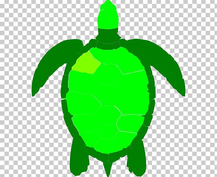 Green Sea Turtle Reptile PNG, Clipart, Drawing, Fictional Character, Grass, Green, Green Sea Turtle Free PNG Download