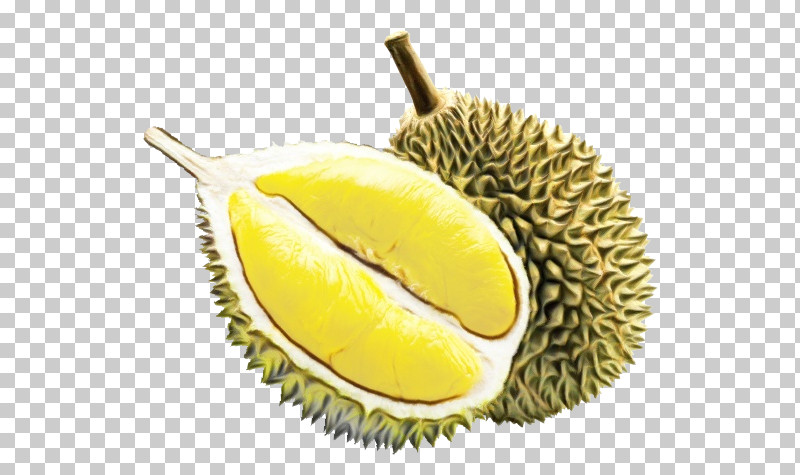 Durian Fruit Food Yellow Artocarpus PNG, Clipart, Accessory Fruit, Artocarpus, Artocarpus Odoratissimus, Cempedak, Durian Free PNG Download