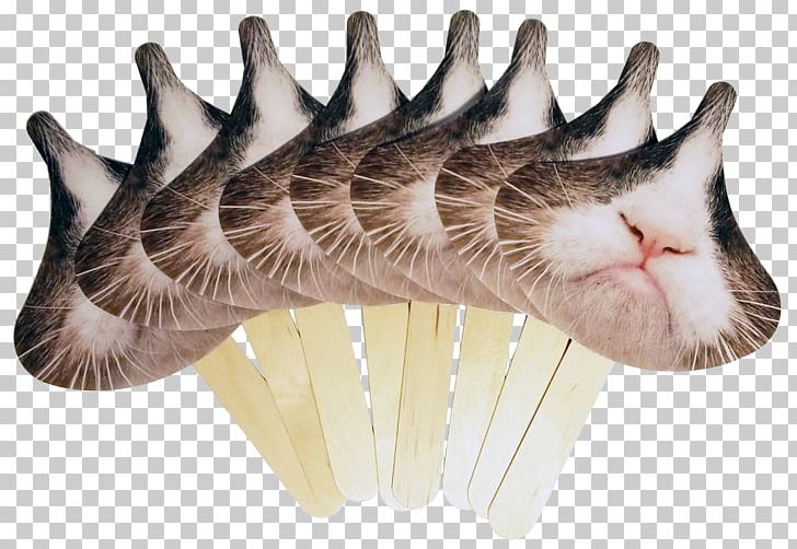 Whiskers Tabby Cat Kitten Grumpy Cat PNG, Clipart, Animals, Carnivoran, Cat, Cat Like Mammal, Claw Free PNG Download