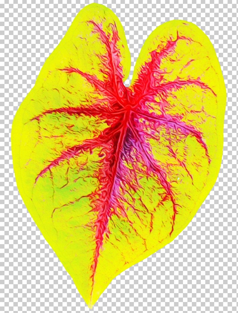 Leaf Yellow Petal Heart M-095 PNG, Clipart, Biology, Heart, Leaf, M095, Paint Free PNG Download