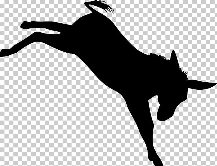 Cat Dog Horse Chicken PNG, Clipart, Animals, Black, Black And White, Carnivoran, Cat Free PNG Download