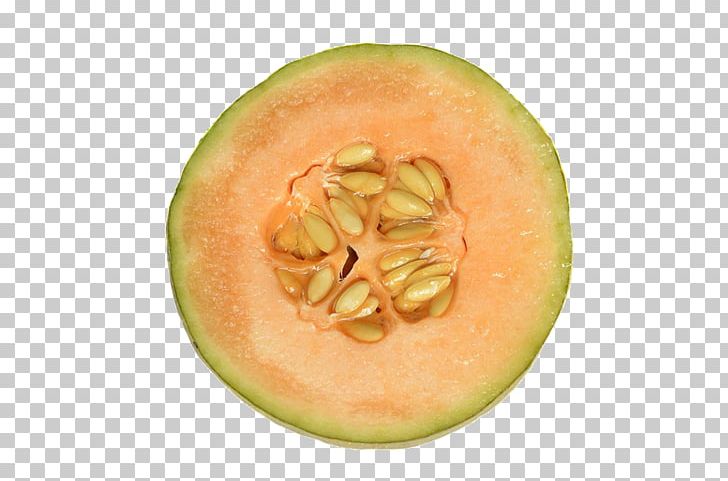 Honeydew Juice Cantaloupe Watermelon Cucumber PNG, Clipart, Bitter Melon, Calabash, Cantaloupe, Cucumber, Cucumber Gourd And Melon Family Free PNG Download