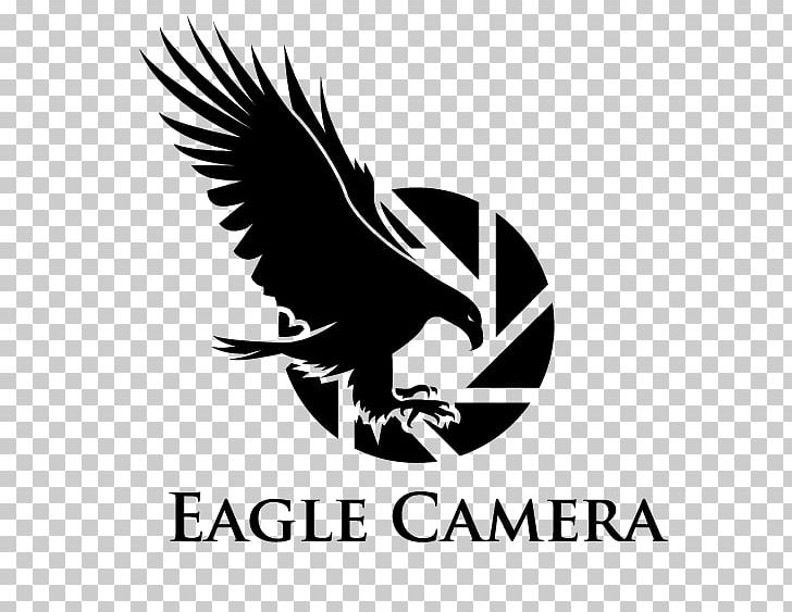 Logo Animal Illustration PNG, Clipart, Bird, Computer Wallpaper, Creative Background, Eagle Vector, Encapsulated Postscript Free PNG Download