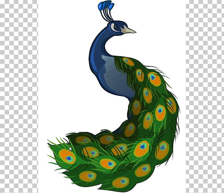 T-shirt Peafowl Cartoon PNG, Clipart, Art, Beak, Bird, Cartoon, Clip Art Free PNG Download
