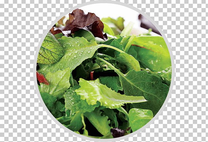 Organic Food Salad Leaf Vegetable Mesclun PNG, Clipart, Bowl, Dish, Food, Herb, Kale Free PNG Download
