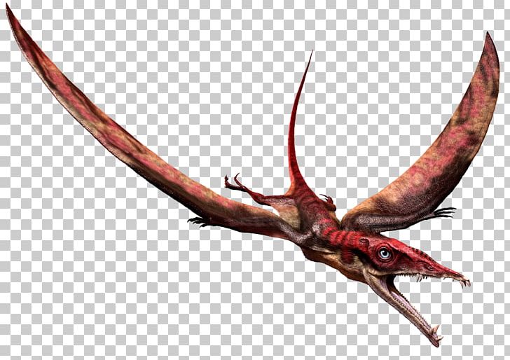 Photography PNG, Clipart, 3 D, Dinosaur, Eudimorphodon, Fantasy, Horn Free PNG Download