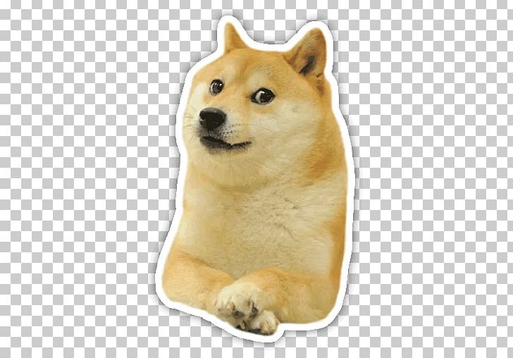 Dogecoin Sleeveless Shirt Run PNG, Clipart, Carnivoran, Clothing, Compute, Dog Breed, Dog Breed Group Free PNG Download