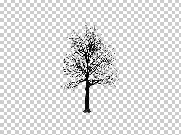 Email White Crop 18 May Logo PNG, Clipart, 18 May, Black And White, Branch, Crop, Email Free PNG Download