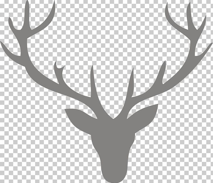 Reindeer Antler PNG, Clipart, Animals, Antler, Black And White, Deer, Desktop Wallpaper Free PNG Download