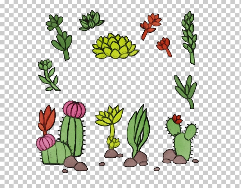 Cactus PNG, Clipart, Adaptation, Barbary Fig, Cactus, Flower, Green Free PNG Download