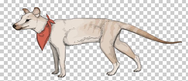 Dog Breed Domestication Of Animals Thylacine Tiger PNG, Clipart, Animal, Animal Figure, Animals, Artwork, Carnivoran Free PNG Download