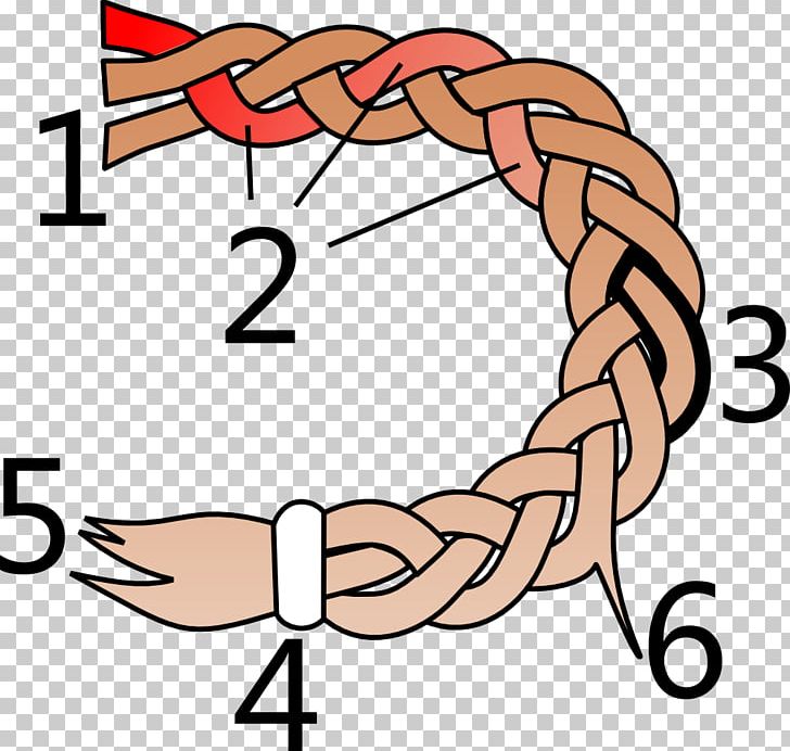 French Braid Hairstyle Finger PNG, Clipart, Area, Arm, Braid, Fiber, Finger Free PNG Download