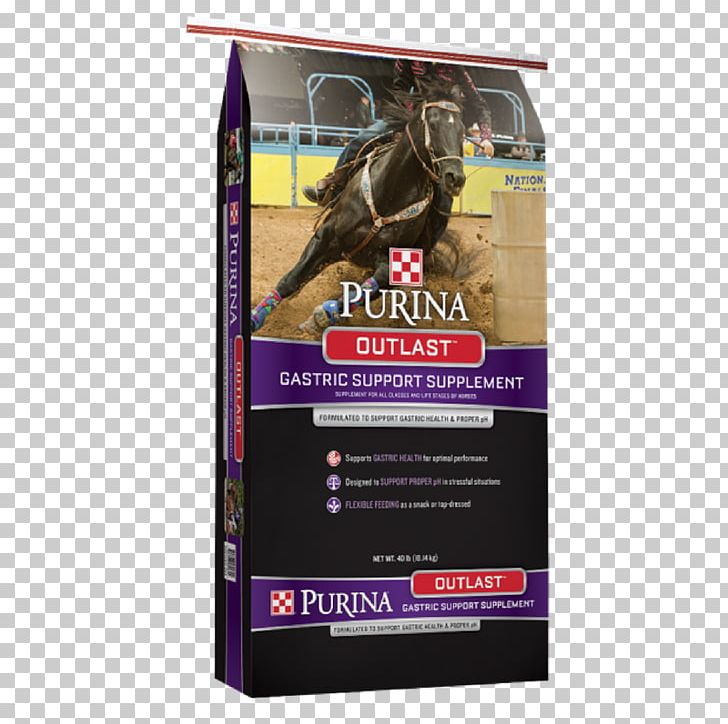 Horse Outlast Purina Mills Nestlé Purina PetCare Company Equine Nutrition PNG, Clipart, Advertising, Animal Feed, Animals, Ark Country Store, Dietary Supplement Free PNG Download