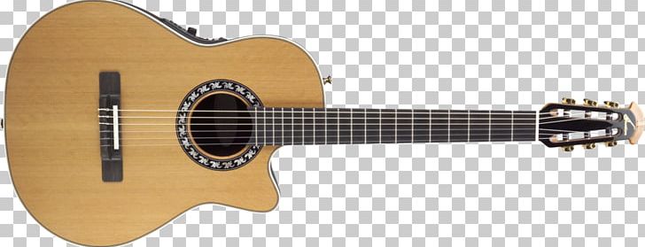 Maton Steel-string Acoustic Guitar Classical Guitar PNG, Clipart, Acoustic Electric Guitar, Classical Guitar, Cutaway, Guitar Accessory, Guitarist Free PNG Download