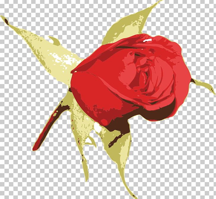 Flower Rose Bud PNG, Clipart, Art, Bud, Drawing, Fireball, Flower Free PNG Download