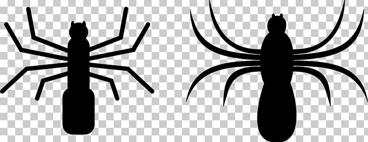 Spider Web PNG, Clipart, Arm, Artwork, Black And White, Computer Icons, Download Free PNG Download