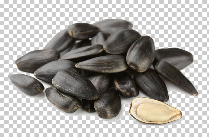 Common Sunflower Sunflower Seed Stock Photography Snack PNG, Clipart, Back, Black Background, Black Board, Black Hair, Black White Free PNG Download