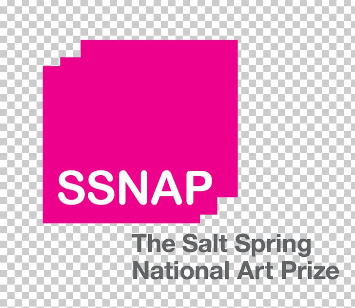 The Salt Spring National Art Prize Artist Juried Visual Arts PNG, Clipart, Area, Art, Art Exhibition, Artist, Artistinresidence Free PNG Download