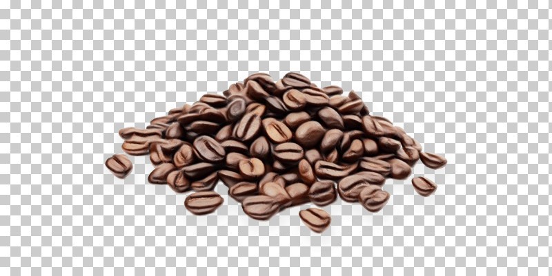 Coffee Bean PNG, Clipart, Biscuit, Caffeine, Cappuccino, Chocolate, Chocolate Pretzels Free PNG Download