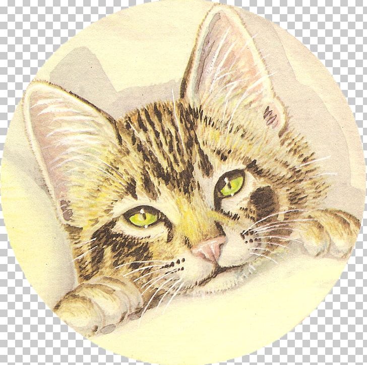 American Shorthair Tabby Cat European Shorthair Dragon Li California Spangled PNG, Clipart, California Spangled, Carnivoran, Cat, Cat Like Mammal, Domestic Short Haired Cat Free PNG Download