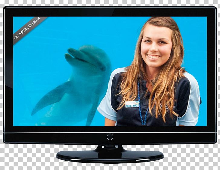 Television Set Zoo LCD Television LED-backlit LCD Television Show PNG, Clipart, Blue Zoo, Cardinal Maritime Ireland Ltd, Computer Monitor, Computer Monitors, Display Device Free PNG Download