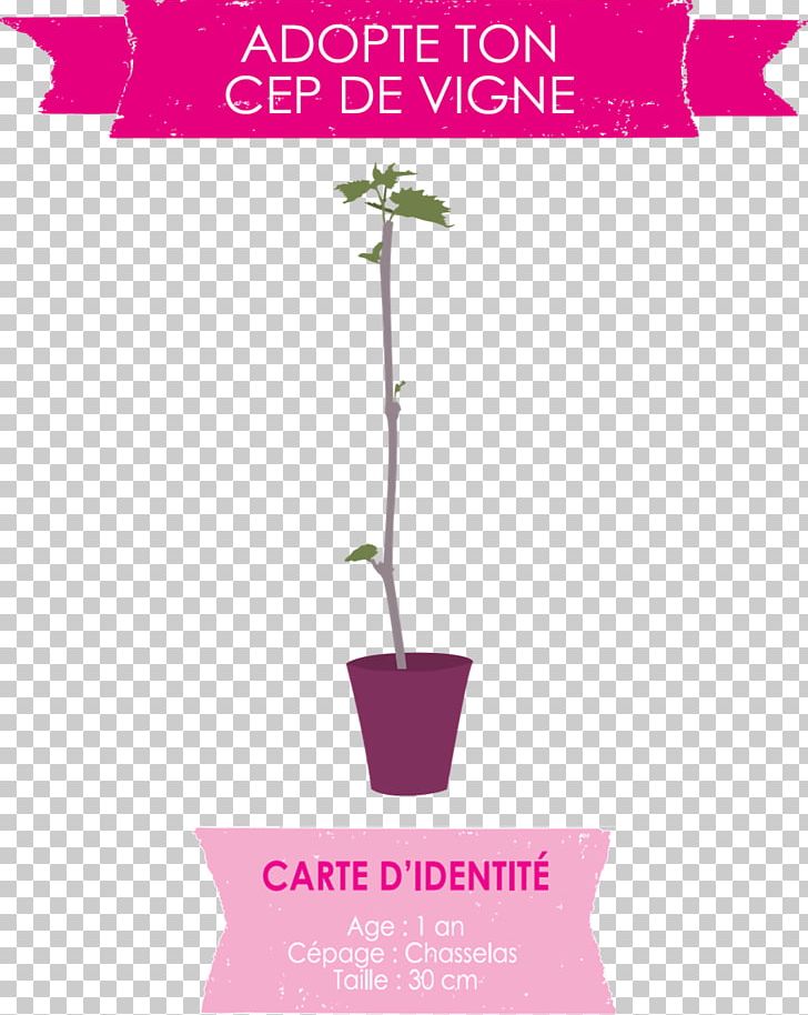 Wine Fronton AOC Rosé Vigne PNG, Clipart, Brand, Common Grape Vine, Flower, Flowerpot, Food Drinks Free PNG Download