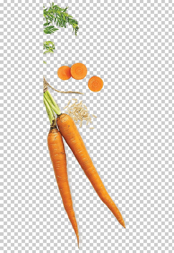 Baby Carrot Natural Foods PNG, Clipart, Baby Carrot, Bunch, Bunch Of Carrots, Carrot, Carrots Free PNG Download