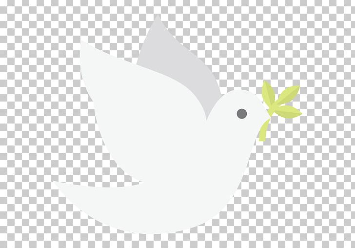 Beak Bird PNG, Clipart, Animals, Beak, Bird, Computer, Computer Wallpaper Free PNG Download