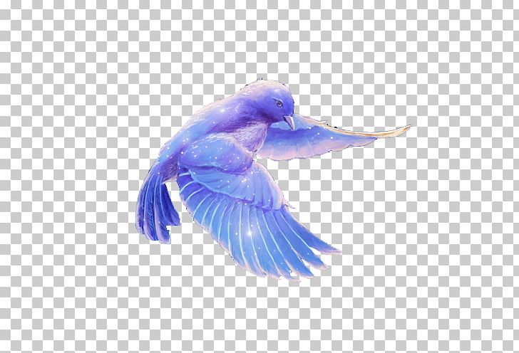 bird white dove cartoon illustration png clipart animals animation art balloon cartoon blue free png download bird white dove cartoon illustration