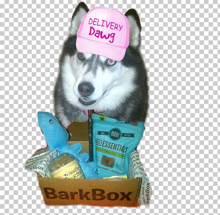 Siberian Husky Dog Breed Alaskan Klee Kai Puppy Love PNG, Clipart, Alaskan Klee Kai, Animals, Bark Co, Breed, Dog Free PNG Download