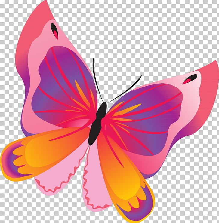 Butterflies And Moths Brothers Grimm Yandex Search PNG, Clipart, Animation, Arthropod, Brothers Grimm, Brush Footed Butterfly, Butterflies And Moths Free PNG Download