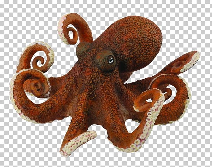 Collecta Octopus Toy Amazon.com Collecta Orca PNG, Clipart, Action Toy Figures, Amazoncom, Animal, Animal Figurine, Cephalopod Free PNG Download