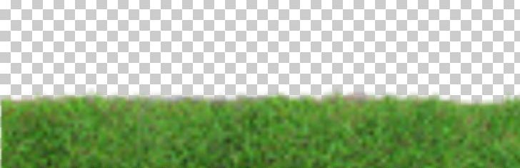 Grass Lawn Photography PNG, Clipart, Agriculture, Commodity, Crop, Download, Encapsulated Postscript Free PNG Download