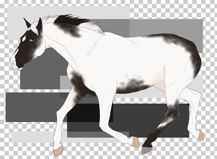 Mane Mustang Stallion Mare Pony PNG, Clipart, Colt, Colts Manufacturing Company, Florida Kraze Krush Soccer Club, Halter, Harness Racing Free PNG Download