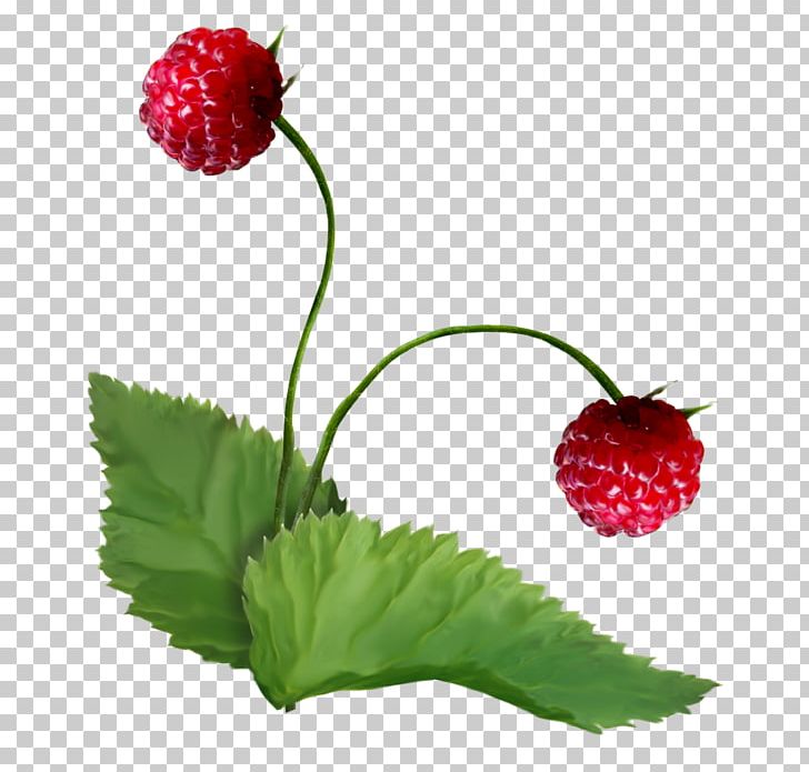 Strawberry Berries Superfood Raspberry Pi Natural Foods PNG, Clipart, Berries, Berry, Food, Fruit, Fruit Nut Free PNG Download