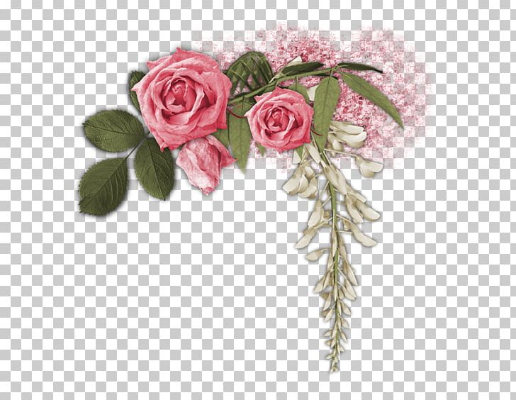 Garden Roses Flower Party PNG, Clipart,  Free PNG Download