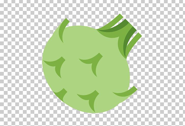 Kohlrabi Cauliflower Vegetable Vegetarian Cuisine Computer Icons PNG, Clipart, Amphibian, Brassica Oleracea, Broccoli, Capitata Group, Cauliflower Free PNG Download