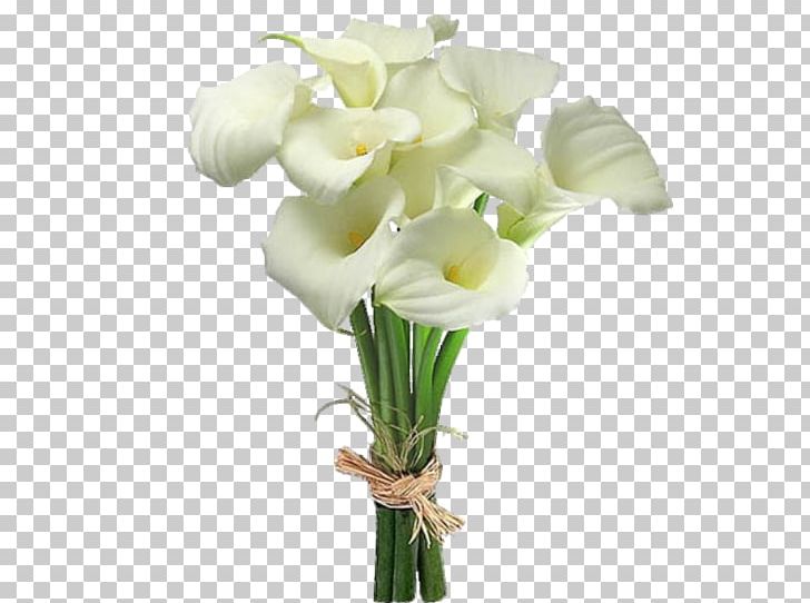 Flower Bouquet Bog Arum Color Plant Stem PNG, Clipart, Artificial Flower, Arum, Bride, Bud, Calas Free PNG Download