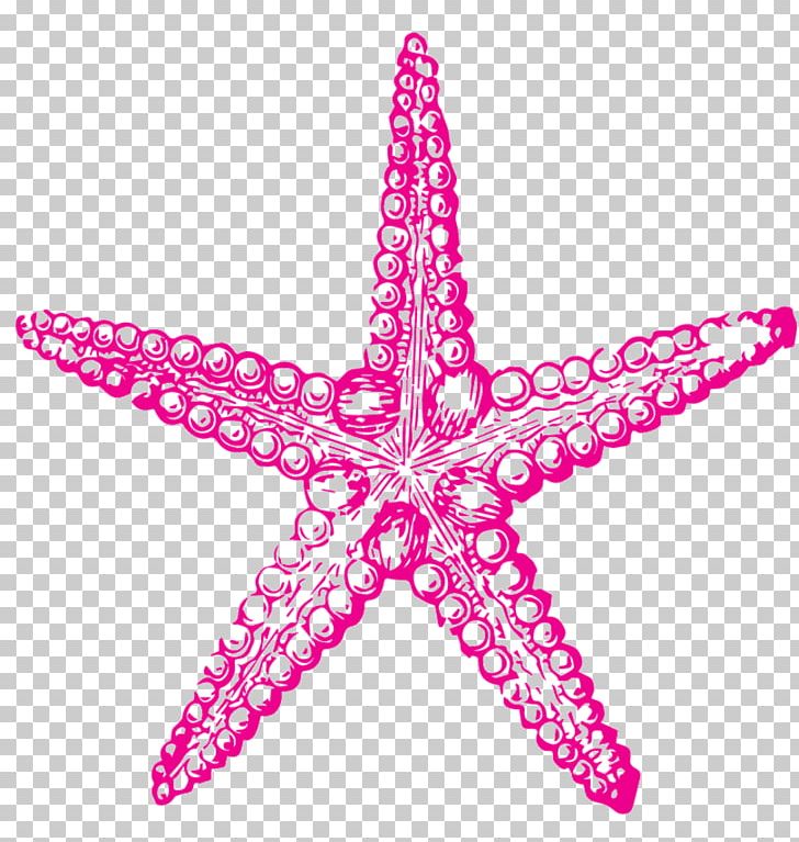 Sea Urchin Drawing Starfish PNG, Clipart, Animal, Animals, Art, Clip Art, Doodle Free PNG Download