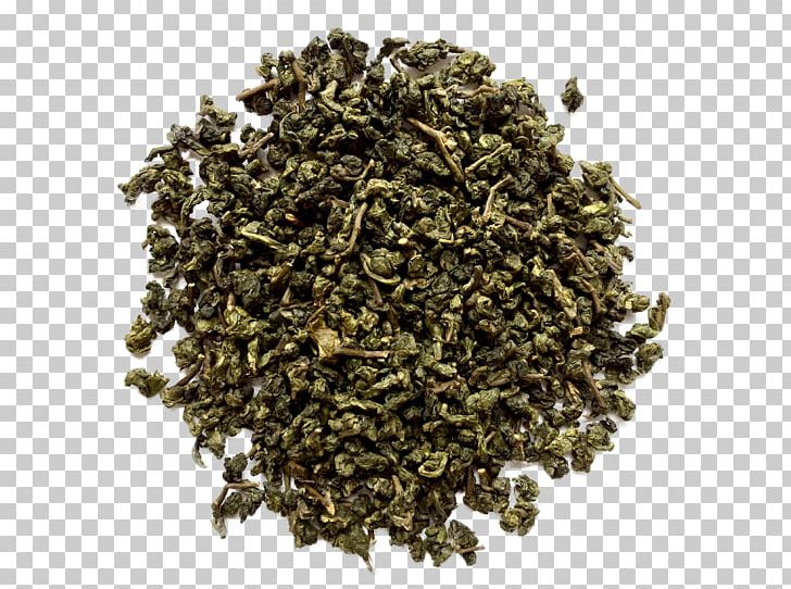 Tieguanyin Pouchong Oolong Nilgiri Tea Gunpowder Tea PNG, Clipart, Assam Tea, Bancha, Biluochun, Ceylon Tea, Chun Mee Tea Free PNG Download