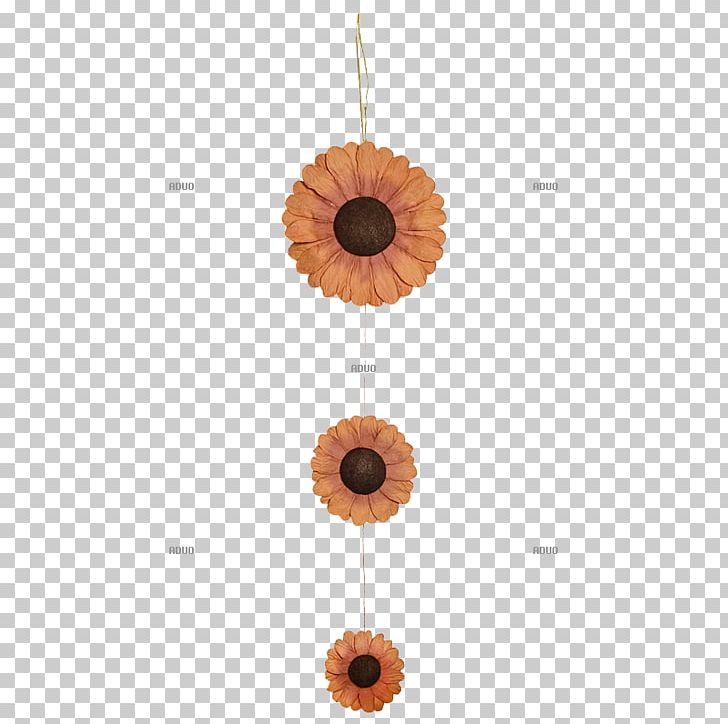 Paper Ehrensperger AG DisplayLand Color Yellow Jewellery PNG, Clipart, Autumn, Ceiling, Color, Flower, Fungus Free PNG Download