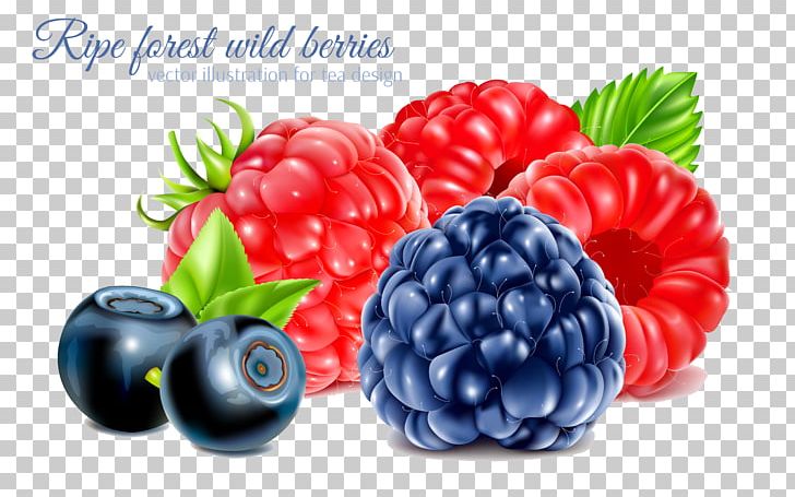 Frutti Di Bosco Raspberry Fruit PNG, Clipart, Ber, Bilberry, Blackberry, Blue, Computer Icons Free PNG Download