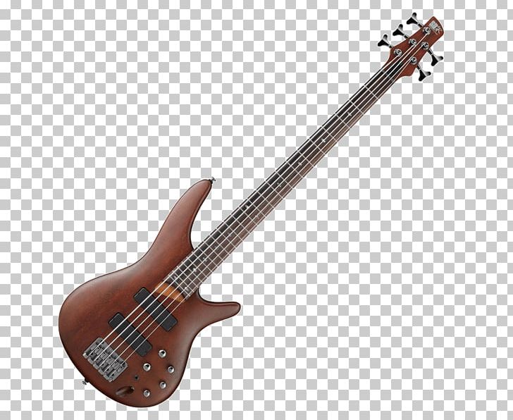 Ibanez Bass Guitar String Instruments Electric Guitar PNG, Clipart, Acoustic Electric Guitar, Bass, Bridge, Double Bass, Guitar Accessory Free PNG Download