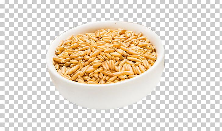 Milk Oatmeal Caryopsis Rice PNG, Clipart, American Food, Avena Nuda, Barley, Cereal, Creative Background Free PNG Download
