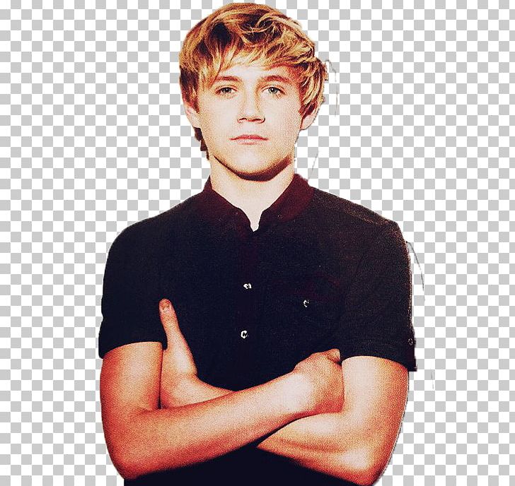 Niall Horan One Direction The X Factor Boy Band PNG, Clipart, Arm, Big Time Rush, Boy, Boy Band, Chin Free PNG Download