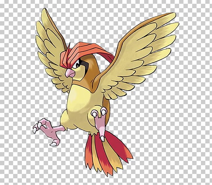 Pokémon X And Y Ash Ketchum Pidgeotto PNG, Clipart, Art, Ash Ketchum, Beak, Bird, Cartoon Free PNG Download