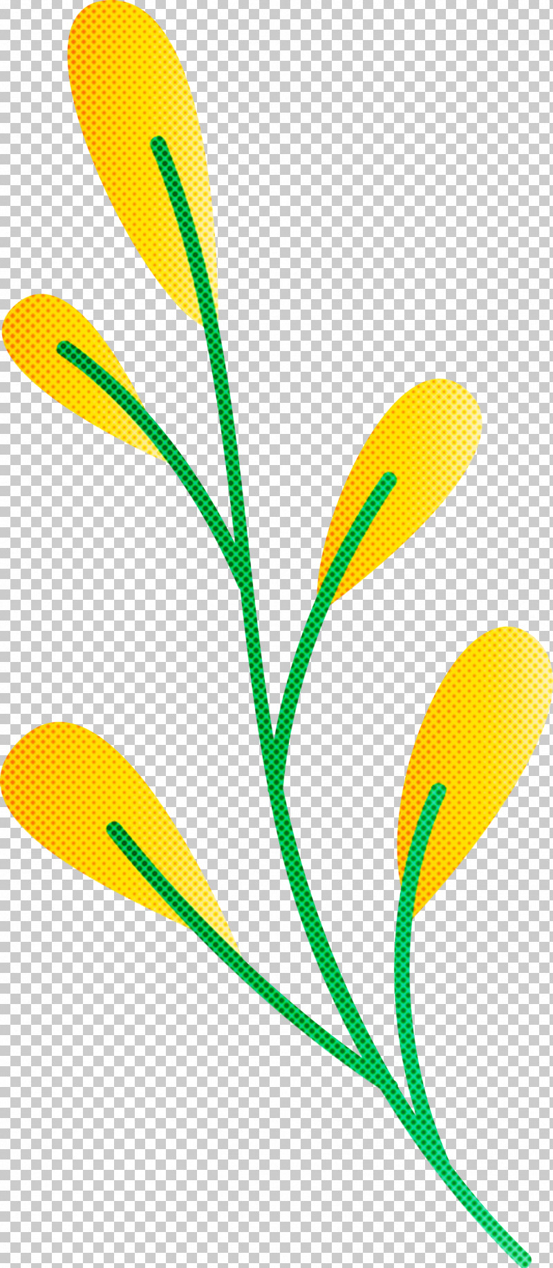 Leaf Plant Stem Twig Branch Petal PNG, Clipart, Branch, Drawing, Leaf, Painting, Petal Free PNG Download