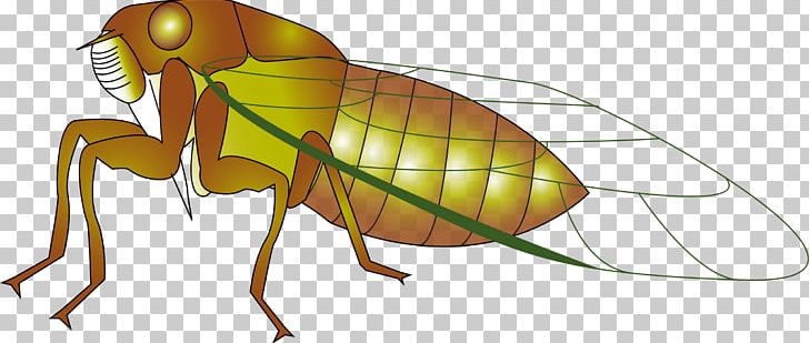 Insect Cicadas Ant PNG, Clipart, Animals, Ant, Arthropod, Cartoon, Cicadas Free PNG Download